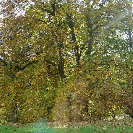 Couette-café D'hotes Les Champarts Tourville-la-Chapelle